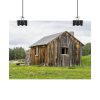 92369-46.jpg Old Cabin in Nature Poster