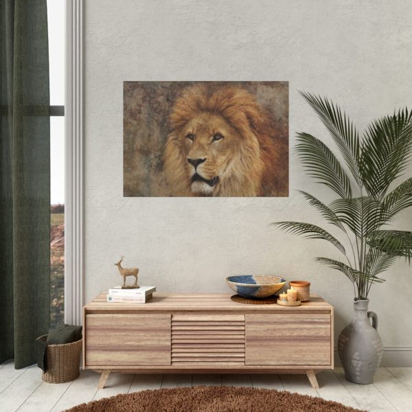92408-1.jpg Beautiful Lion's Head Poster
