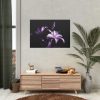 Purple Lily Poster