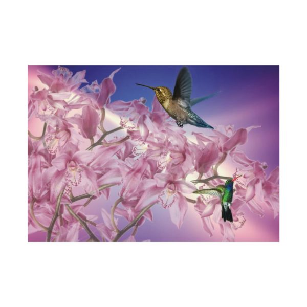 Pink Orchid Poster