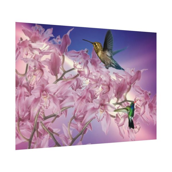 Pink Orchid Poster