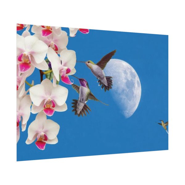 Humming Birds Poster