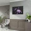 Purple Lily Poster