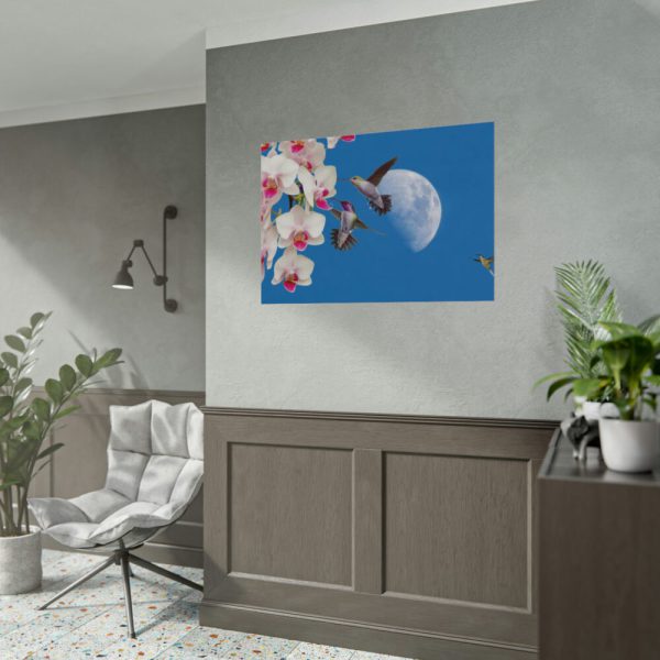 Humming Birds Poster