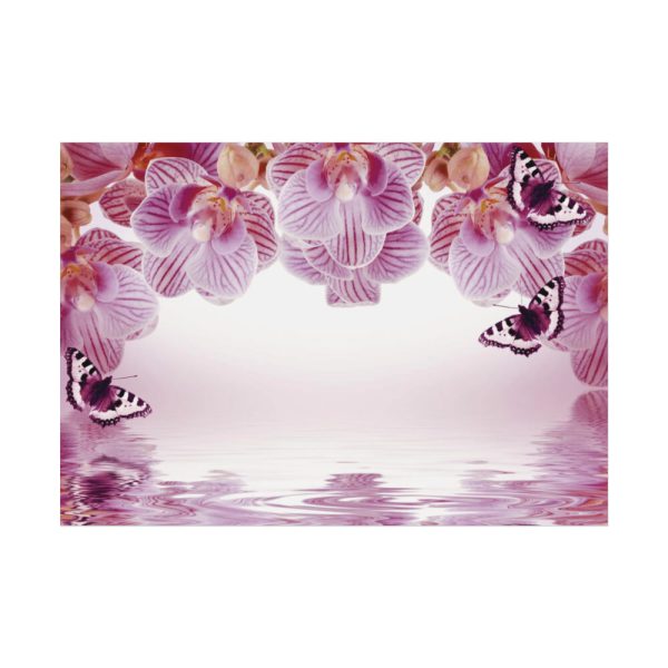Orchid Background Flowers Poster