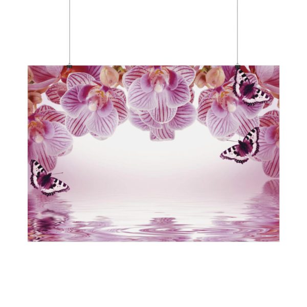 Orchid Background Flowers Poster