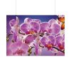 Orchids Flowers Poster