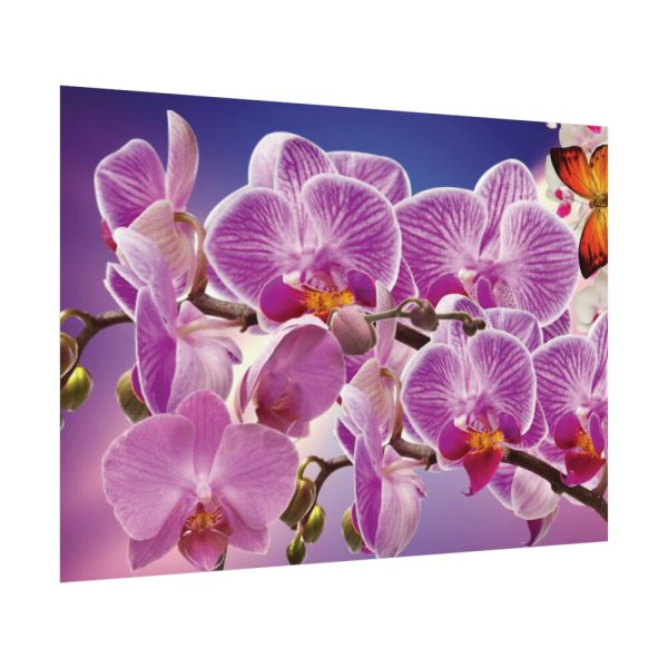 Orchids Flowers Poster