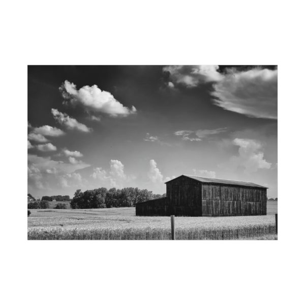 Black and White Barn Poster