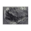 92408-1317.jpg Bird Feather Poster