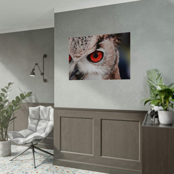92408-1331.jpg Eye of Owl Poster
