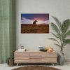 92408-135.jpg Free Dog at Sunset Poster