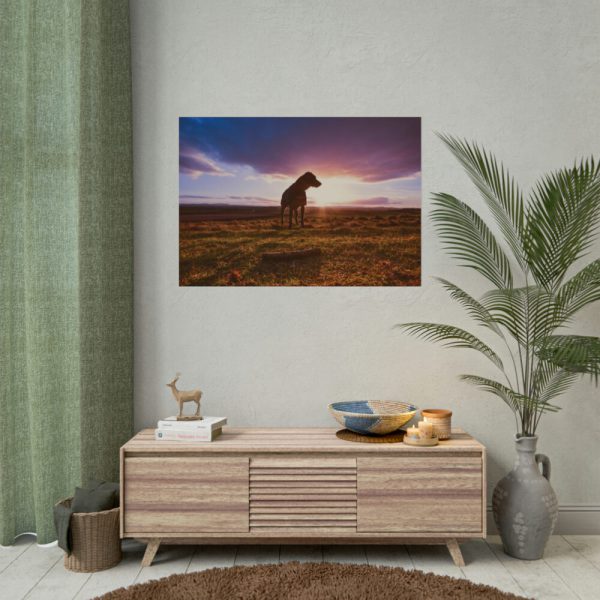 92408-135.jpg Free Dog at Sunset Poster