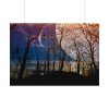92408-1353.jpg Full Moon and Forest Night Darkness Poster