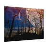 92408-1354.jpg Full Moon and Forest Night Darkness Poster