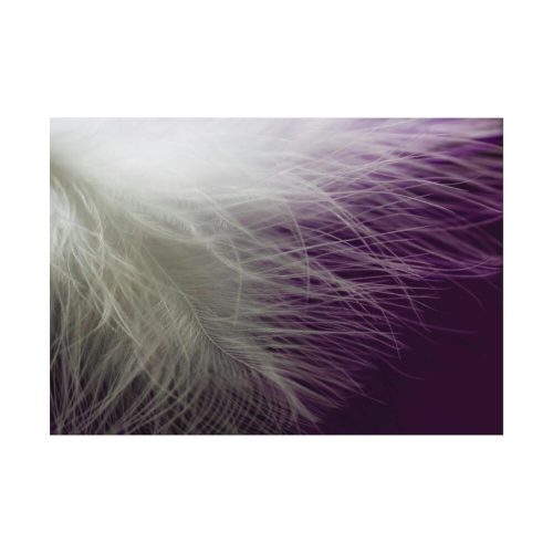 92408-1367.jpg Featherweight Poster