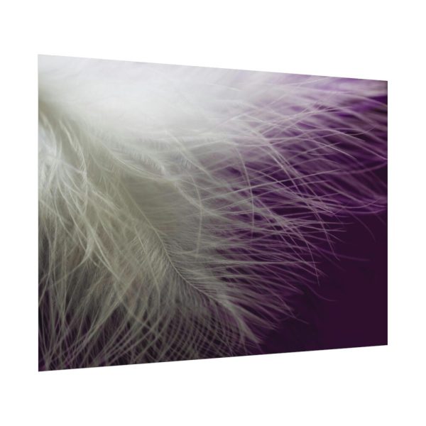 92408-1369.jpg Featherweight Poster