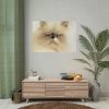 92408-140.jpg Angry Persian Cat Poster