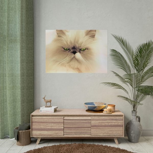 92408-140.jpg Angry Persian Cat Poster