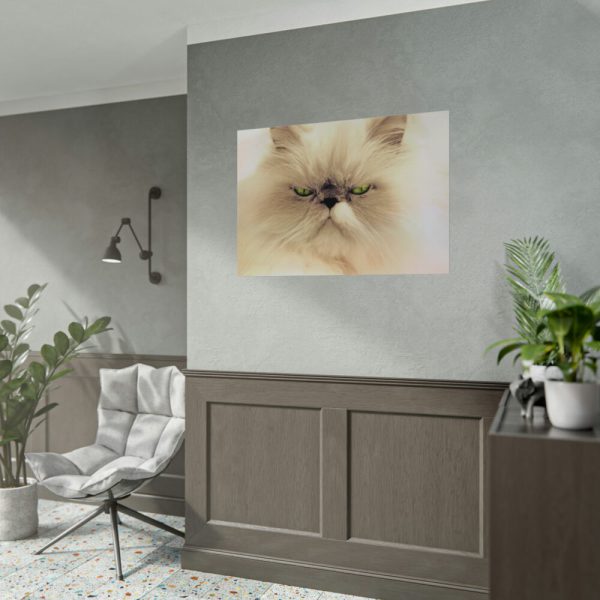 92408-141.jpg Angry Persian Cat Poster