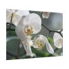 White Orchid Poster