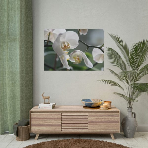 White Orchid Poster