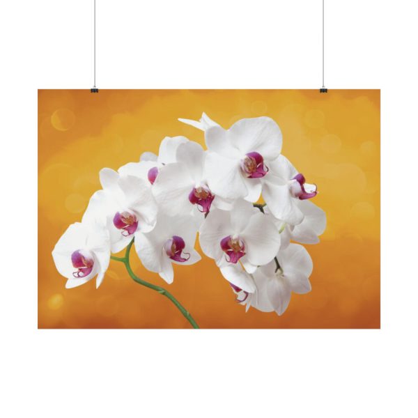 Orchid Plant Flower Poster