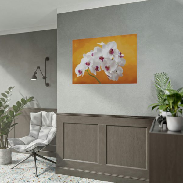 Orchid Plant Flower Poster