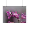 Macro Flower Plant Poster