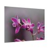 Macro Flower Plant Poster