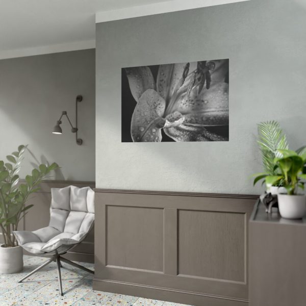 Black and White  Poster
