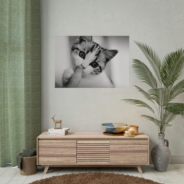 92408-170.jpg Kitten and Finger Poster