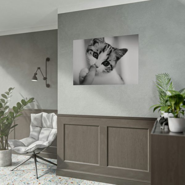 92408-171.jpg Kitten and Finger Poster