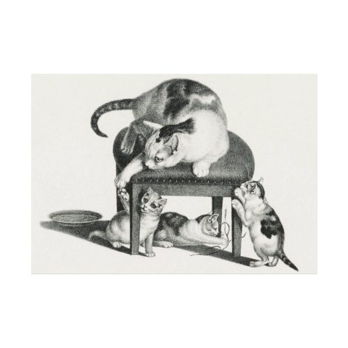 Domestic Cat on a Stool and Three Kittens by Gottfried Mind Poster