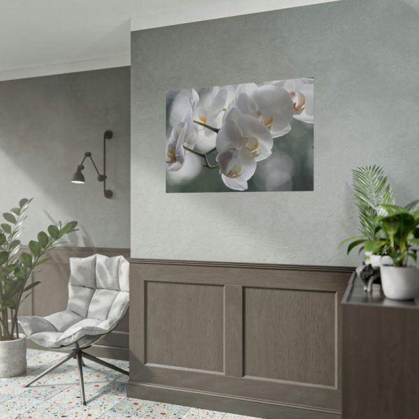 Orchids Elegant Poster