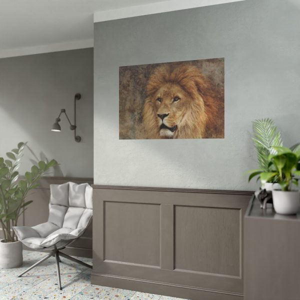 92408-2.jpg Beautiful Lion's Head Poster