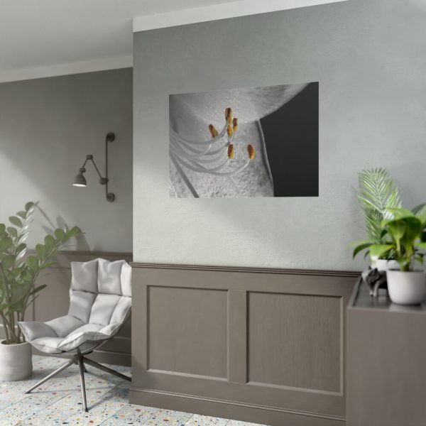Bloom Lily Poster