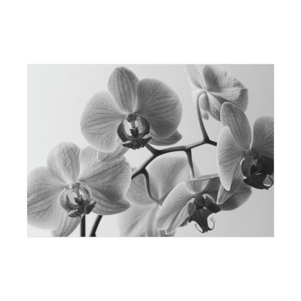 92408-202.jpg Orchid Meadow Poster