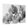 92408-204.jpg Orchid Meadow Poster