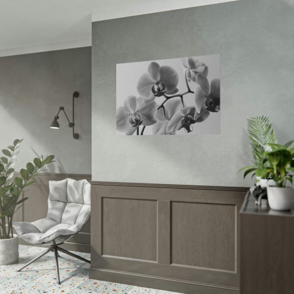 92408-206.jpg Orchid Meadow Poster