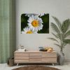 White Daisy Flower Poster