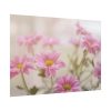 92408-219.jpg Blooming Pink Daisies Poster
