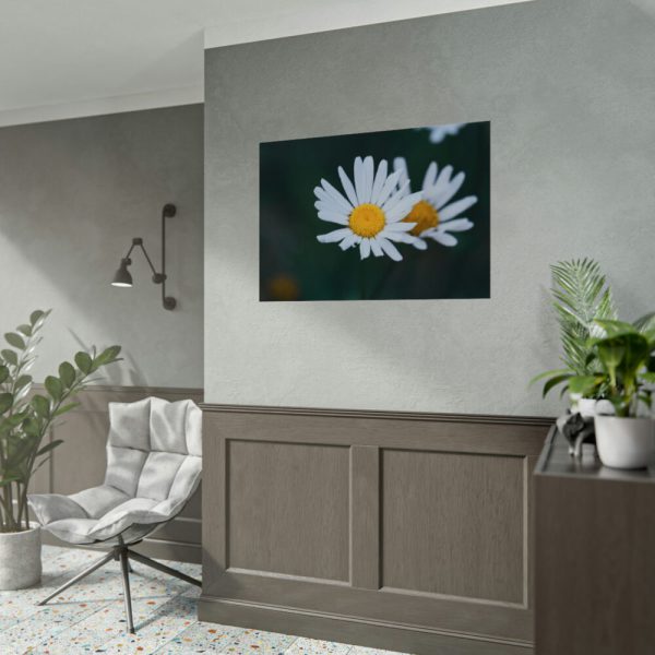 92408-231.jpg Wild Daisy Poster