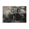92408-237.jpg Big Elephant with Two Lion Poster