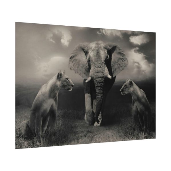 92408-239.jpg Big Elephant with Two Lion Poster