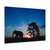 92408-244.jpg Elephant and Sunset Poster