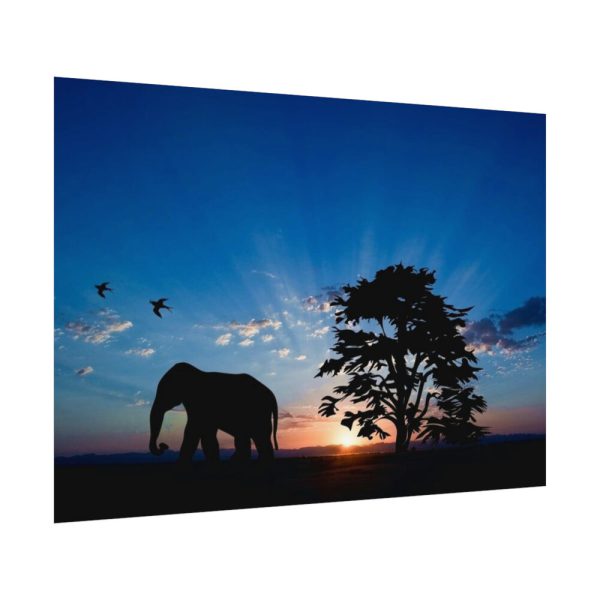92408-244.jpg Elephant and Sunset Poster