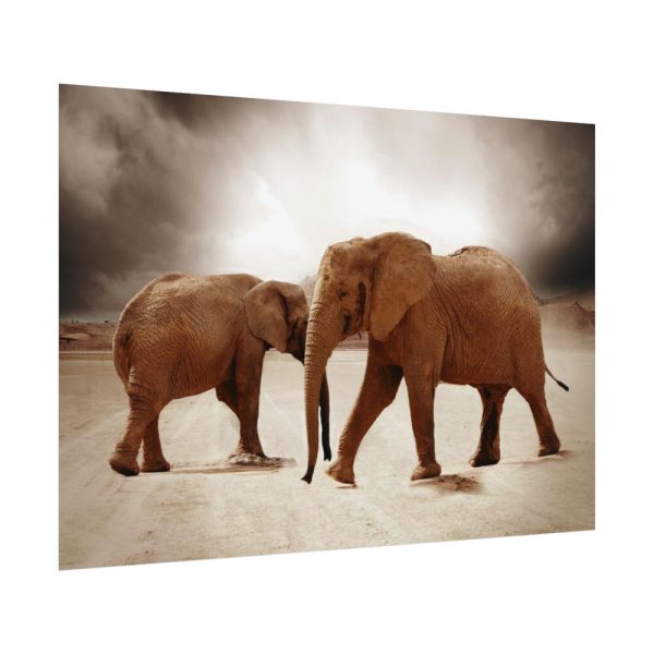 92408-249.jpg African Elephants Poster