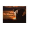 92408-252.jpg Elephant and Yellow Sky Poster