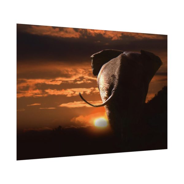 92408-254.jpg Elephant and Yellow Sky Poster